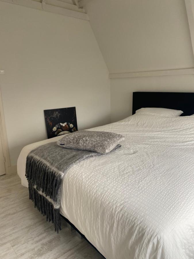 Free Fly Loft